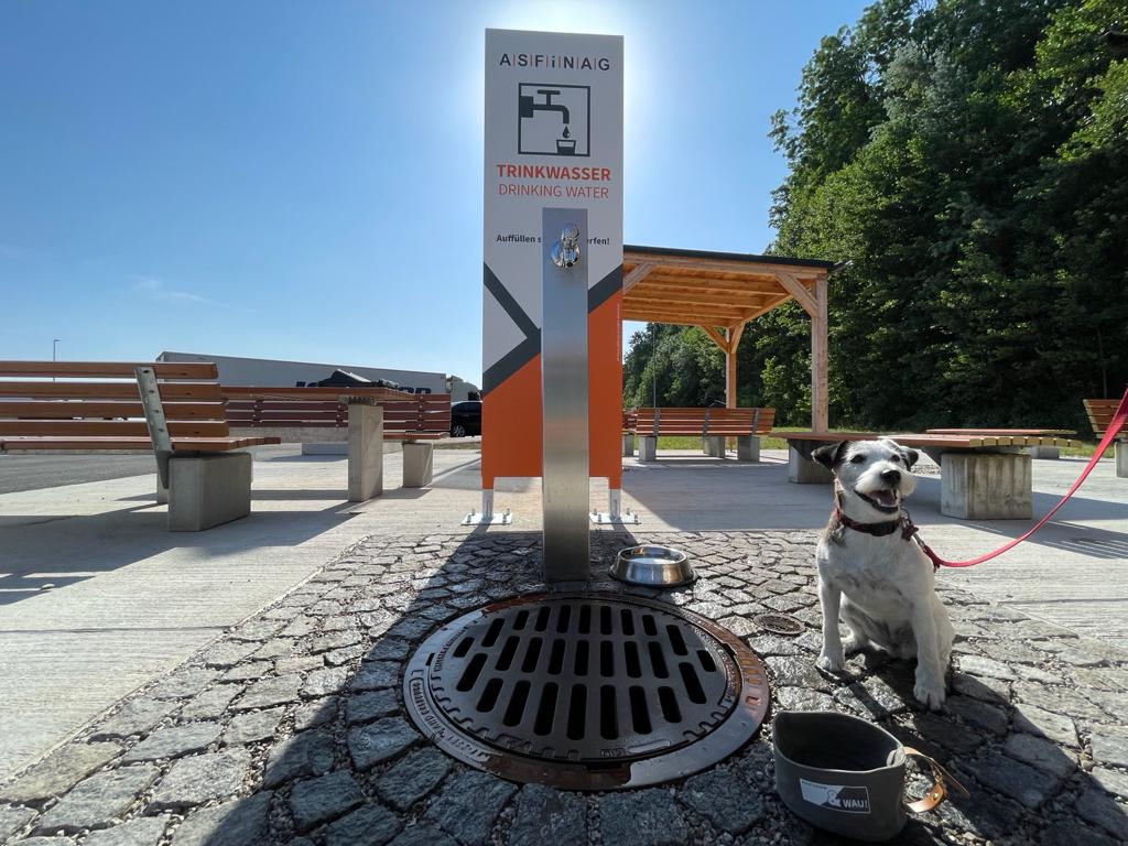 Hund sitzt vor einem Trinkbrunnen auf einem ASFINAG Rastplatz